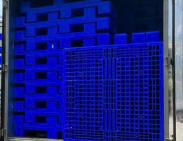 Pallet nhựa xuất khẩu Thành phố Thủ Đức
