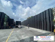 Pallet nhựa kcn vsip 1