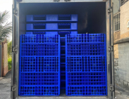 Pallet nhựa xuất khẩu Quận 3