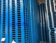 Pallet Nhựa Cũ, Mới Quận 5