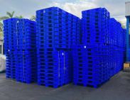 Pallet nhựa xuất khẩu Quận 10