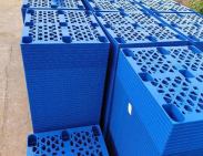 Pallet nhựa xuất khẩu Quận 5