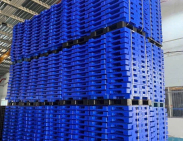 Pallet nhựa xuất khẩu huyện Hóc Môn