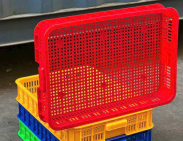 Bảo quản rau củ quả bằng sóng nhựa