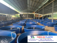 Thùng Nhựa Lớn Lào Cai
