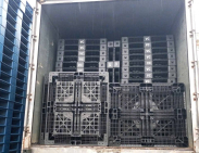 Pallet nhựa xuất khẩu huyện Nhà Bè