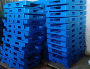 Pallet nhựa xuất khẩu Quận Phú Nhuận