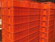 Sóng nhựa hở 610x420 giá rẻ