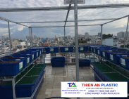 Tư vấn chọn thùng nhựa công nghiệp