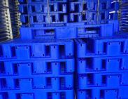 Pallet nhựa xuất khẩu Bình Thuận