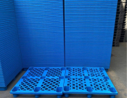 Pallet nhựa xuất khẩu Bình Dương