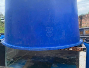 Thùng Nhựa Lớn Điện Biên