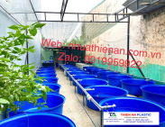 Thùng Nhựa Lớn Cần Thơ