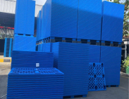 Pallet nhựa xuất khẩu Thừa Thiên Huế
