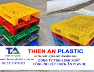 Pallet nhựa xuất khẩu Hòa Bình