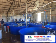 Thùng Nhựa Lớn Tiền Giang