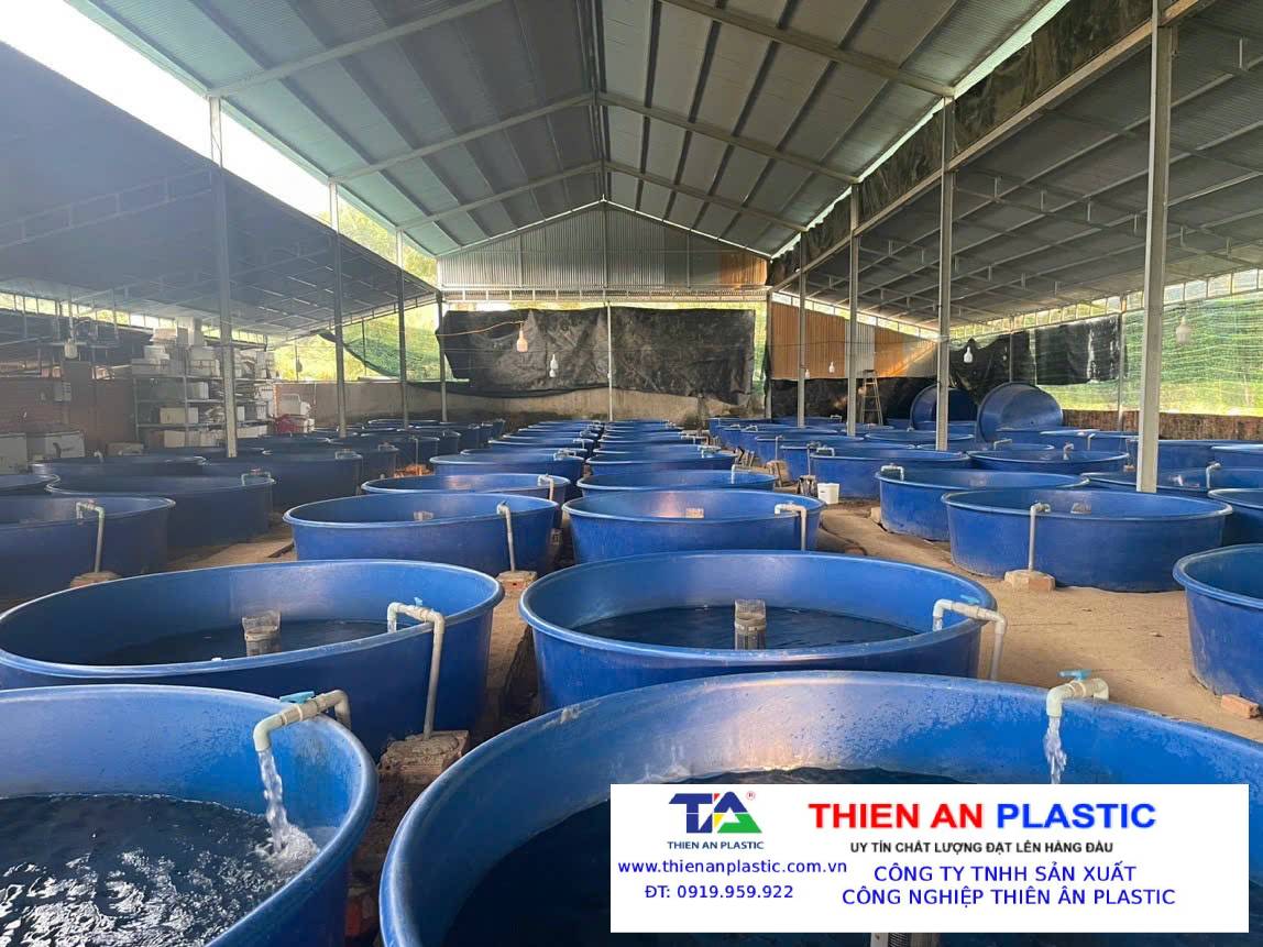 Thùng Nhựa Lớn Bình Định
