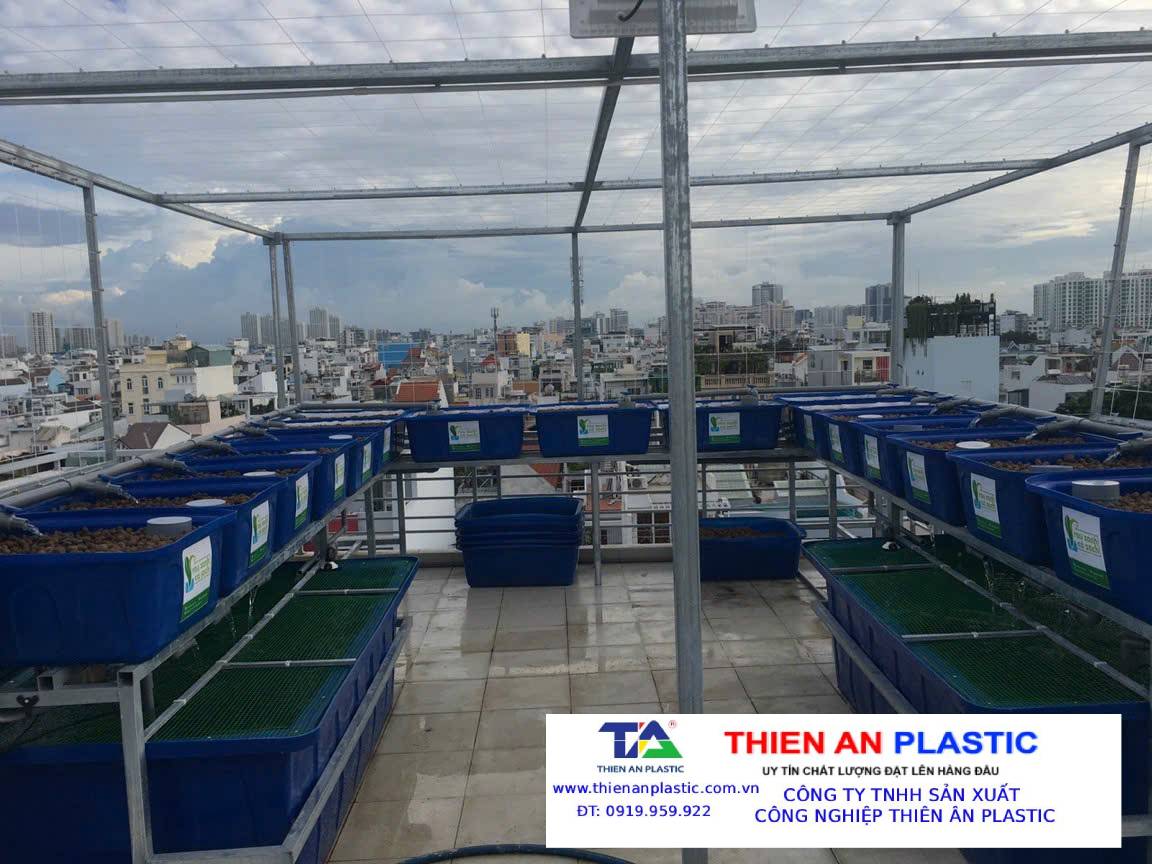 Thùng Nhựa Lớn Đắk Nông
