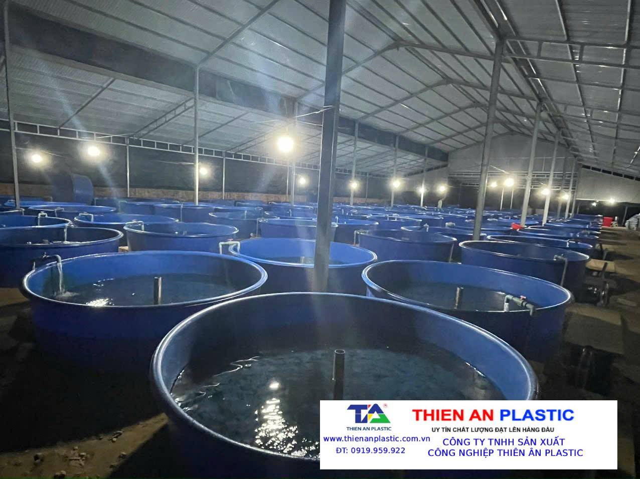 Thùng Nhựa Lớn An Giang
