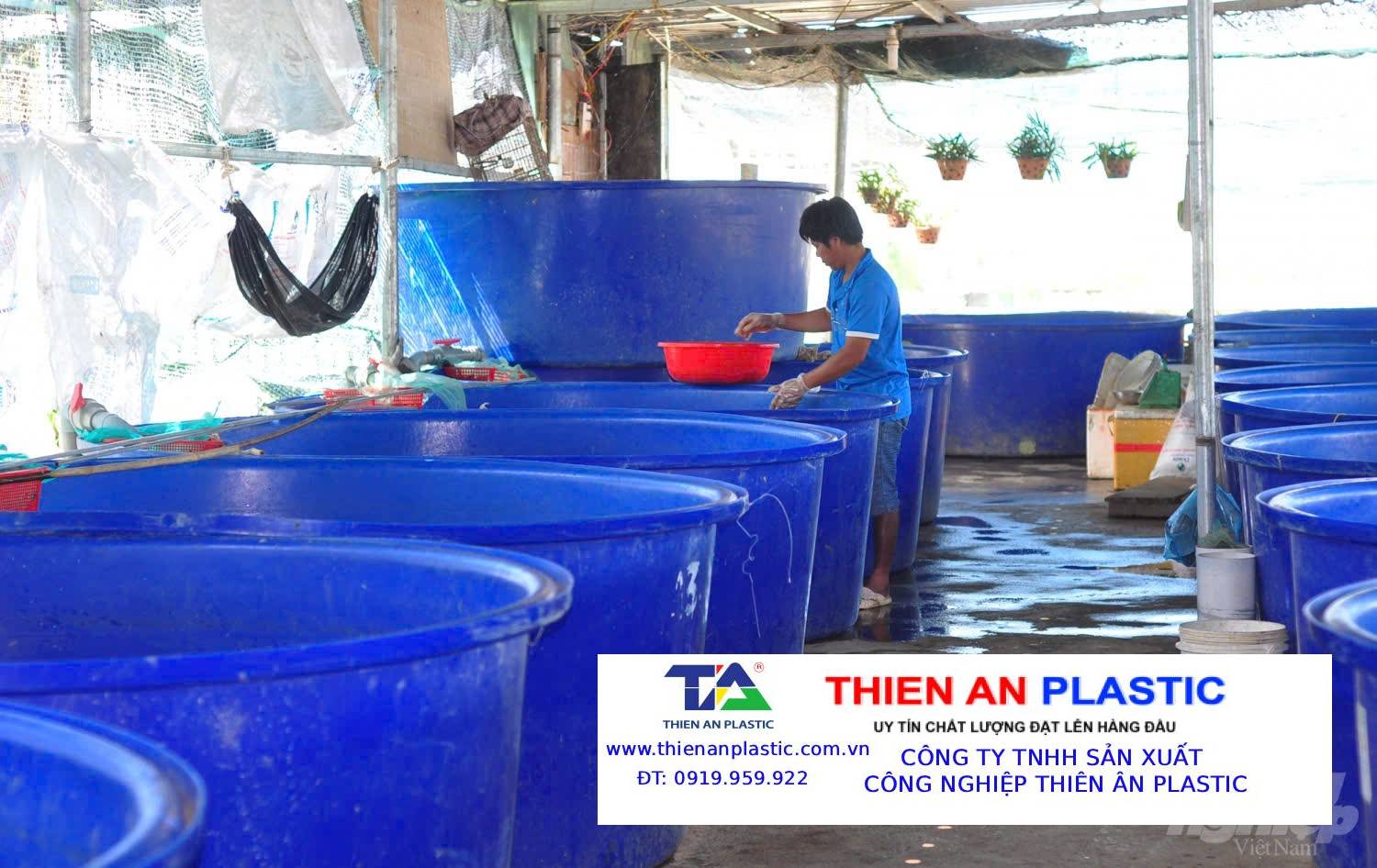 Thùng Nhựa Lớn Đắk Nông