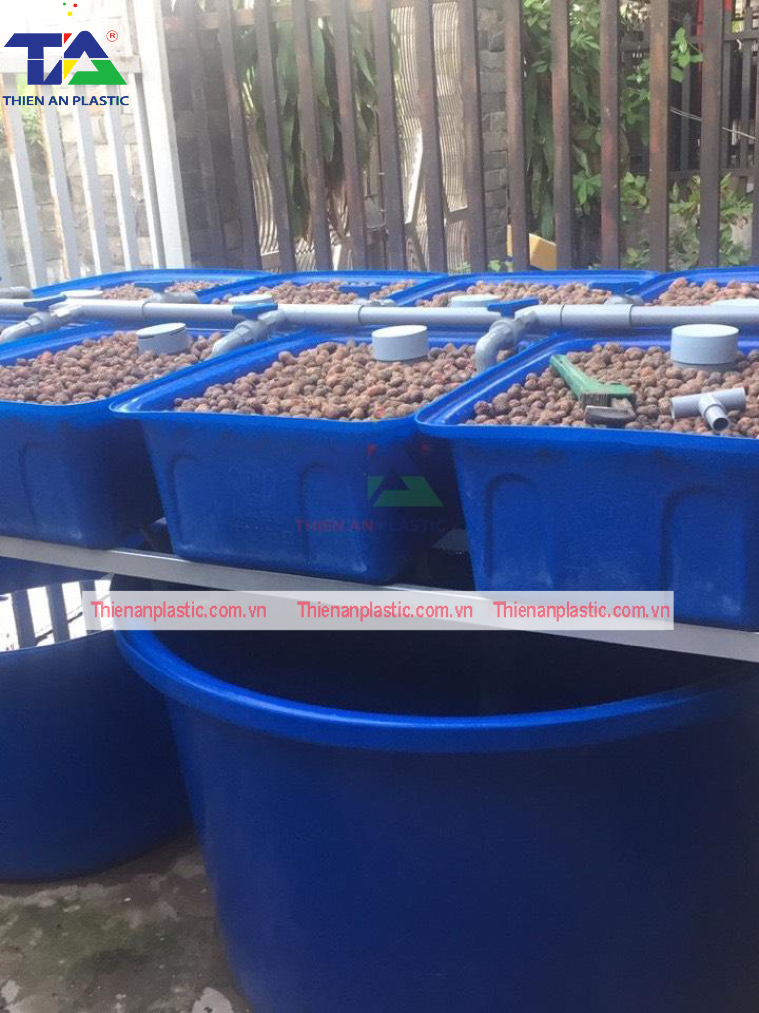 Thùng Nhựa Nuôi Cá Hình Chữ Nhật (Từ 50L - 2000L)